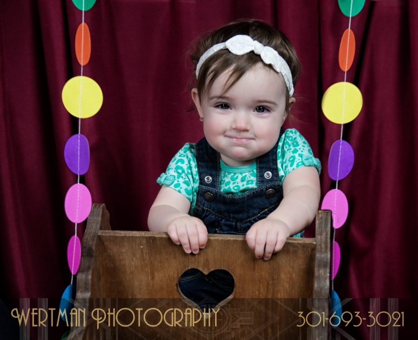 wertmanphotography Lucy first birthday-17